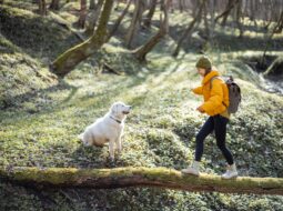 Andrew Eeten-Best Dog-Friendly Hiking Trails