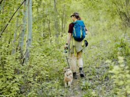 hiking with dog