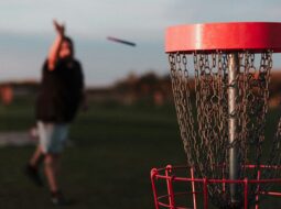 Disc Golf Throws