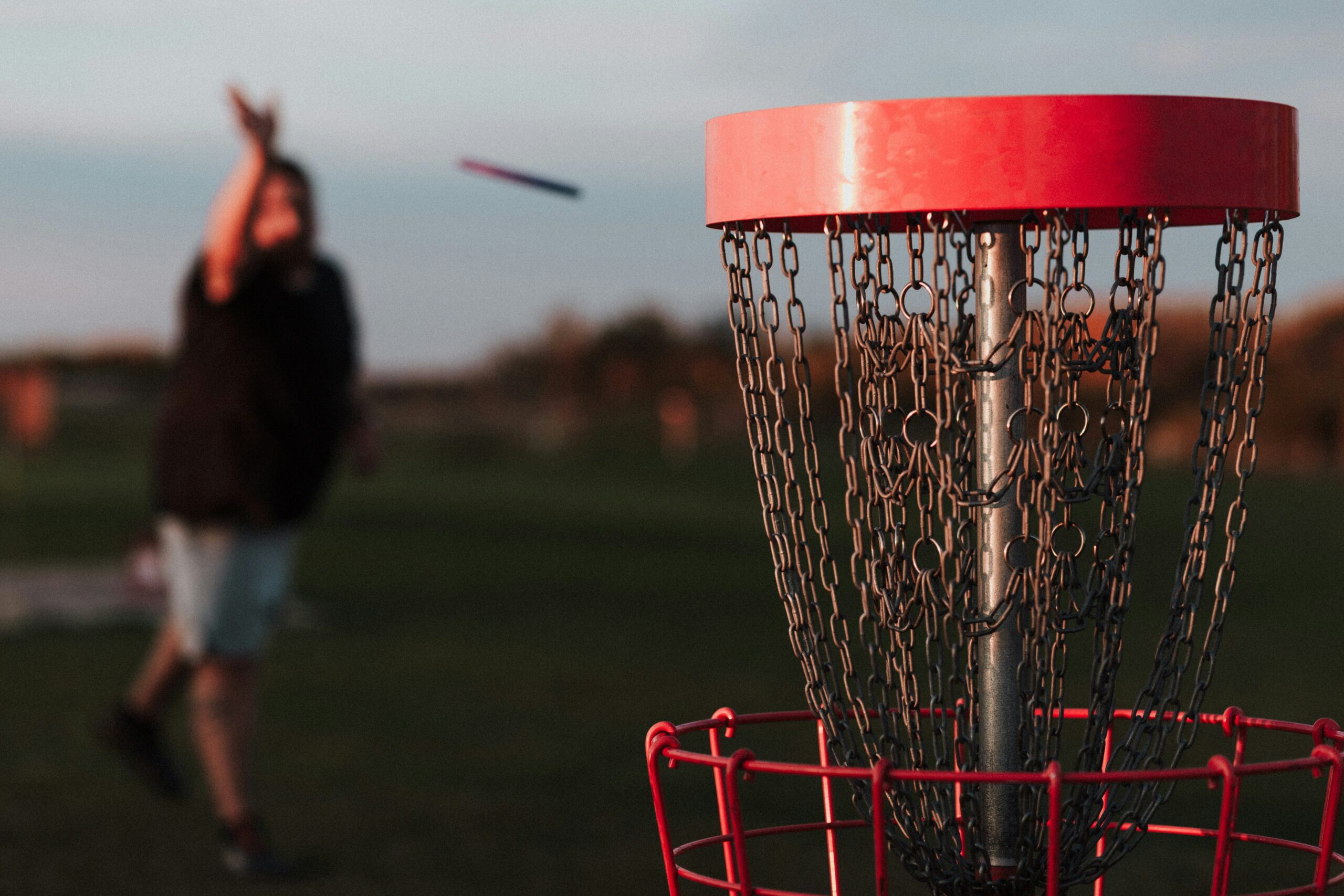 Disc Golf Throws