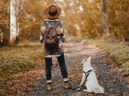 hiking with your dog