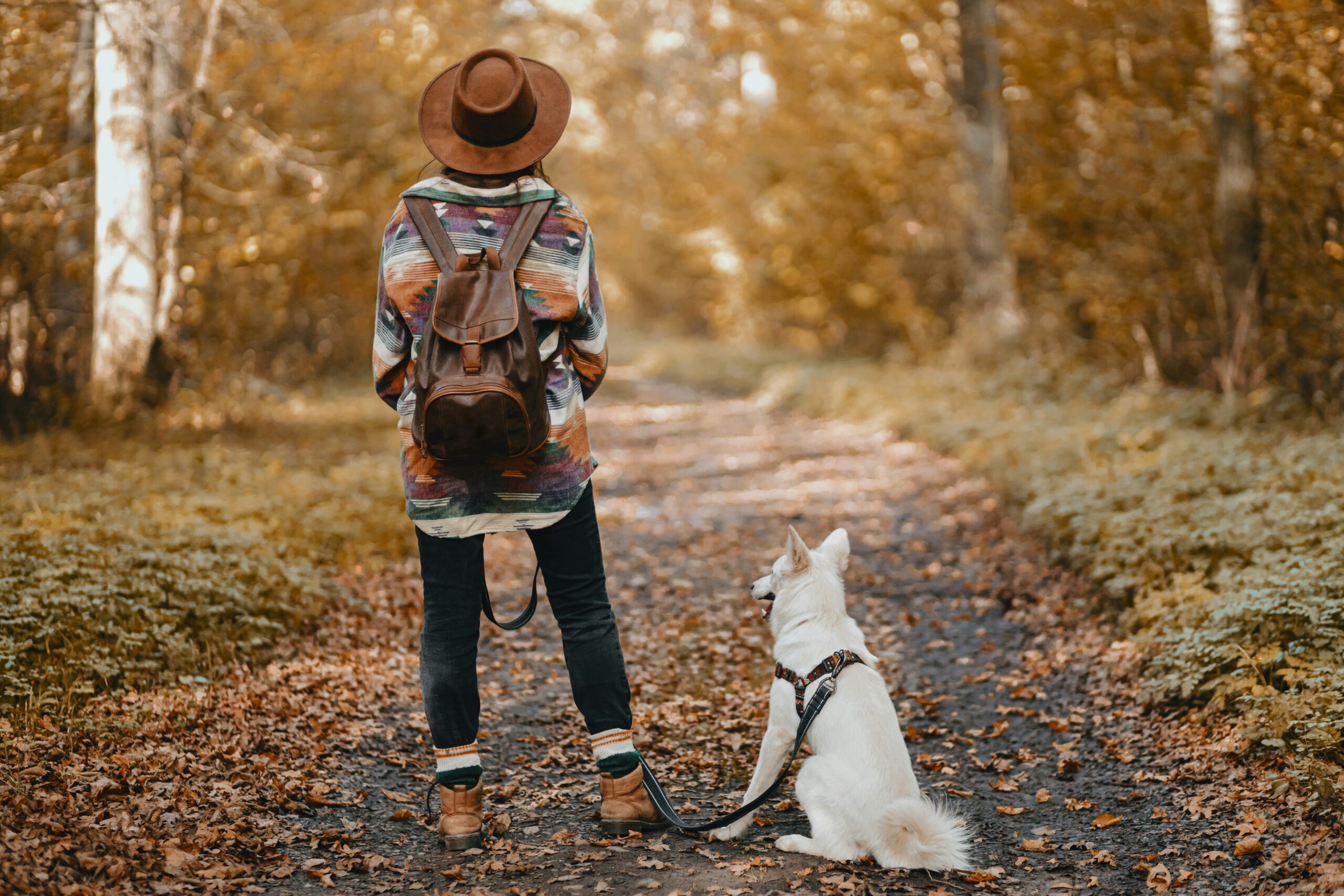 hiking with your dog